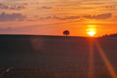 2022-06-16-Gravelbike-Tour-Augsburg-Ingolstadt-10