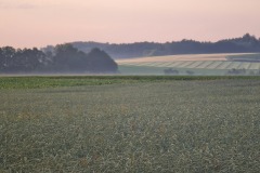 2022-06-16-Gravelbike-Tour-Augsburg-Ingolstadt-13