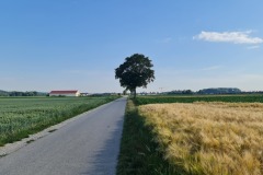 2022-06-16-Gravelbike-Tour-Augsburg-Ingolstadt-33