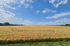 2022-06-16-Gravelbike-Tour-Augsburg-Ingolstadt-46