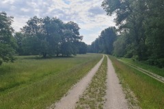 2022-06-16-Gravelbike-Tour-Augsburg-Ingolstadt-53