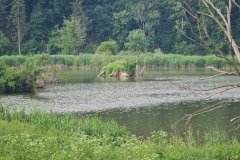 2022-06-16-Gravelbike-Tour-Augsburg-Ingolstadt-59