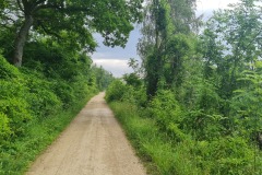 2022-06-16-Gravelbike-Tour-Augsburg-Ingolstadt-73