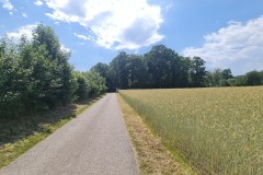 2022-06-16-Gravelbike-Tour-Augsburg-Ingolstadt-87