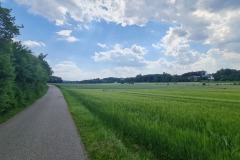 2022-06-16-Gravelbike-Tour-Augsburg-Ingolstadt-88