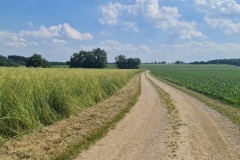 2022-06-16-Gravelbike-Tour-Augsburg-Ingolstadt-93