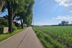 2022-06-16-Gravelbike-Tour-Augsburg-Ingolstadt-95