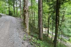 2022-07-09-Gravelbike-Tour-Alm-034