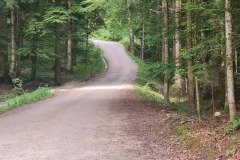 2022-07-09-Gravelbike-Tour-Alm-037