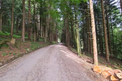2022-07-09-Gravelbike-Tour-Alm-043