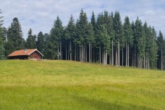 2022-07-09-Gravelbike-Tour-Alm-044