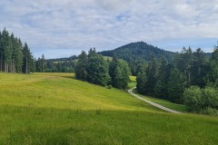 2022-07-09-Gravelbike-Tour-Alm-045