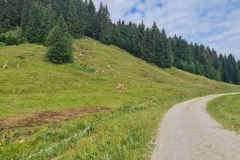 2022-07-09-Gravelbike-Tour-Alm-048