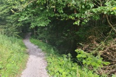 2022-07-09-Gravelbike-Tour-Alm-056