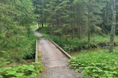 2022-07-09-Gravelbike-Tour-Alm-057