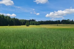 2022-07-09-Gravelbike-Tour-Alm-071