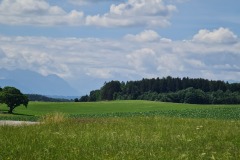 2022-07-09-Gravelbike-Tour-Alm-089