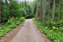 2022-07-09-Gravelbike-Tour-Alm-100