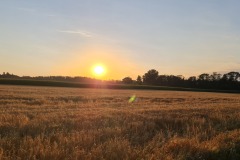 2022-07-16-Gravelbike-Tour-Muenchen-Regensburg-010