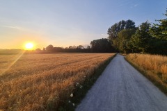 2022-07-16-Gravelbike-Tour-Muenchen-Regensburg-011