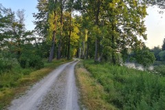 2022-07-16-Gravelbike-Tour-Muenchen-Regensburg-015