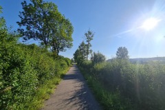 2022-07-16-Gravelbike-Tour-Muenchen-Regensburg-023