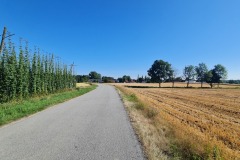 2022-07-16-Gravelbike-Tour-Muenchen-Regensburg-027