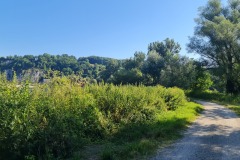 2022-07-16-Gravelbike-Tour-Muenchen-Regensburg-036