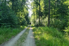 2022-07-16-Gravelbike-Tour-Muenchen-Regensburg-056