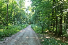 2022-07-16-Gravelbike-Tour-Muenchen-Regensburg-057