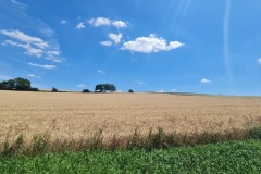 2022-07-16-Gravelbike-Tour-Regensburg-Muenchen-03