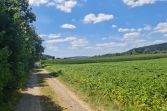 2022-07-16-Gravelbike-Tour-Regensburg-Muenchen-08