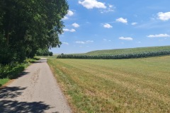 2022-07-16-Gravelbike-Tour-Regensburg-Muenchen-13