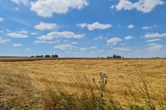 2022-07-16-Gravelbike-Tour-Regensburg-Muenchen-14