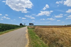 2022-07-16-Gravelbike-Tour-Regensburg-Muenchen-15