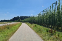 2022-07-16-Gravelbike-Tour-Regensburg-Muenchen-19