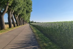 2022-07-16-Gravelbike-Tour-Regensburg-Muenchen-29