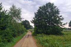 2022-07-23-Gravelbike-Tour-Nordosten-Muenchen-06