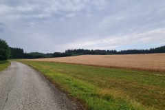 2022-07-23-Gravelbike-Tour-Nordosten-Muenchen-19