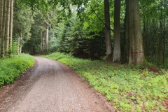 2022-07-23-Gravelbike-Tour-Nordosten-Muenchen-22