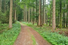 2022-07-23-Gravelbike-Tour-Nordosten-Muenchen-24