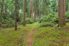 2022-07-23-Gravelbike-Tour-Nordosten-Muenchen-33