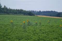 2022-07-23-Gravelbike-Tour-Nordosten-Muenchen-52