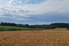 2022-07-23-Gravelbike-Tour-Nordosten-Muenchen-58