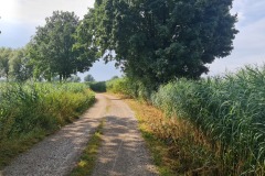 2022-07-23-Gravelbike-Tour-Nordosten-Muenchen-60