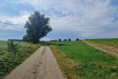 2022-07-23-Gravelbike-Tour-Nordosten-Muenchen-61