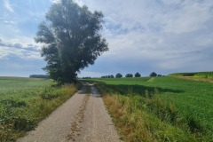 2022-07-23-Gravelbike-Tour-Nordosten-Muenchen-62