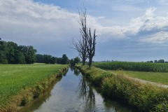 2022-07-23-Gravelbike-Tour-Nordosten-Muenchen-65