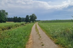 2022-07-23-Gravelbike-Tour-Nordosten-Muenchen-67