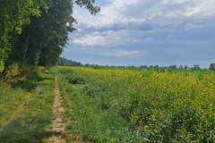 2022-07-23-Gravelbike-Tour-Nordosten-Muenchen-72